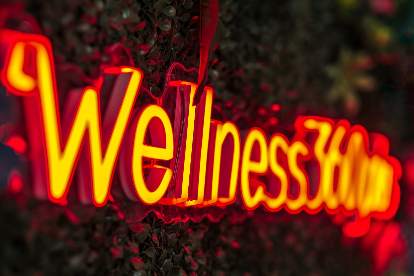 Wellness 360 Plus photo 9