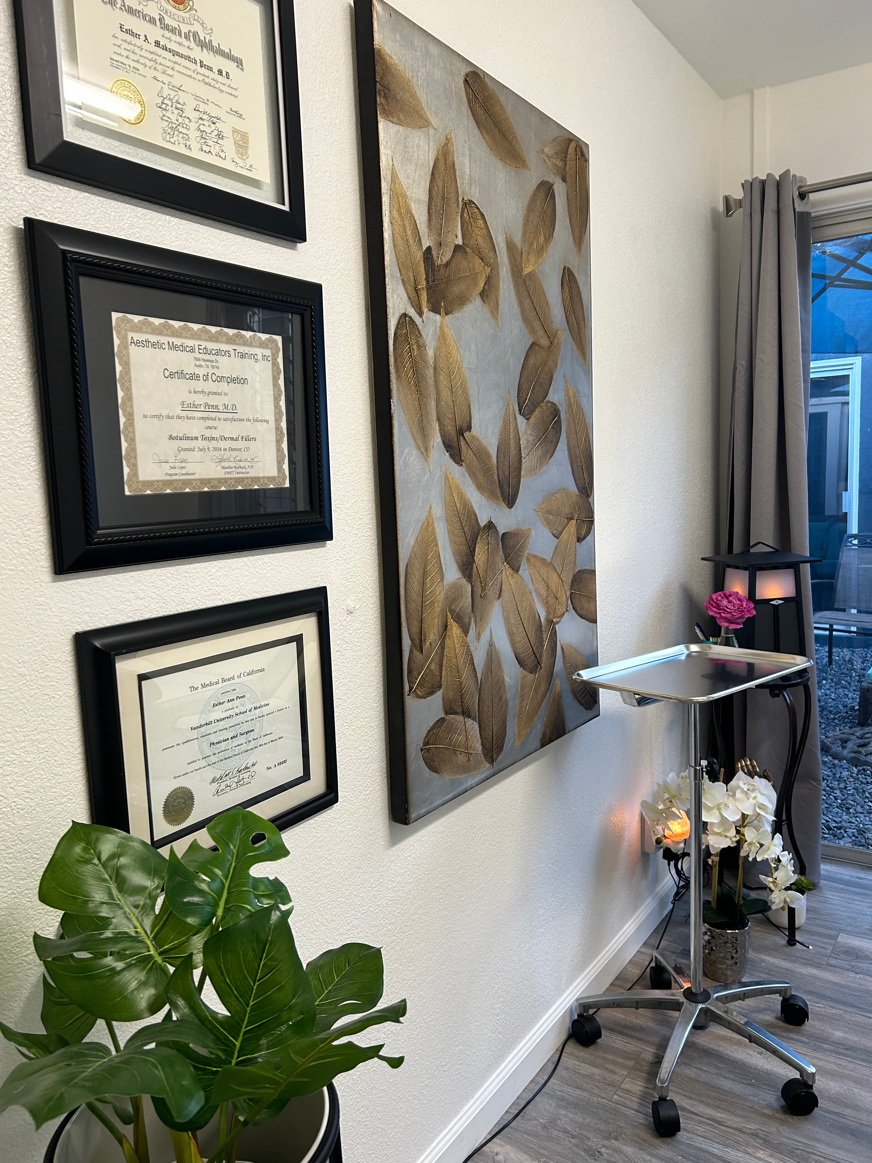 ESTHER PENN MD Medical Aesthetics photo 13