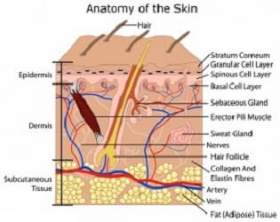 Reflections Image Center & Skin Care Institute photo 1 of 8