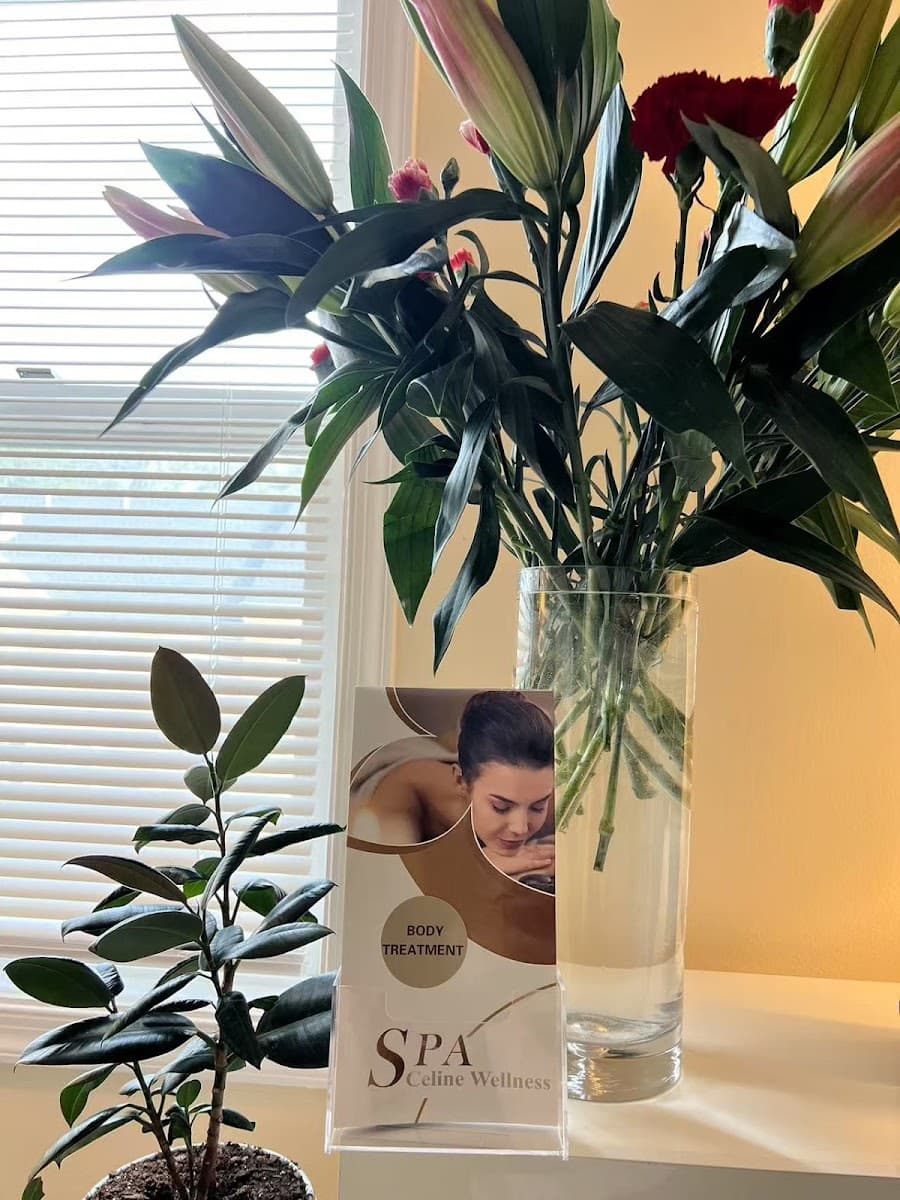 Celine Wellness Spa