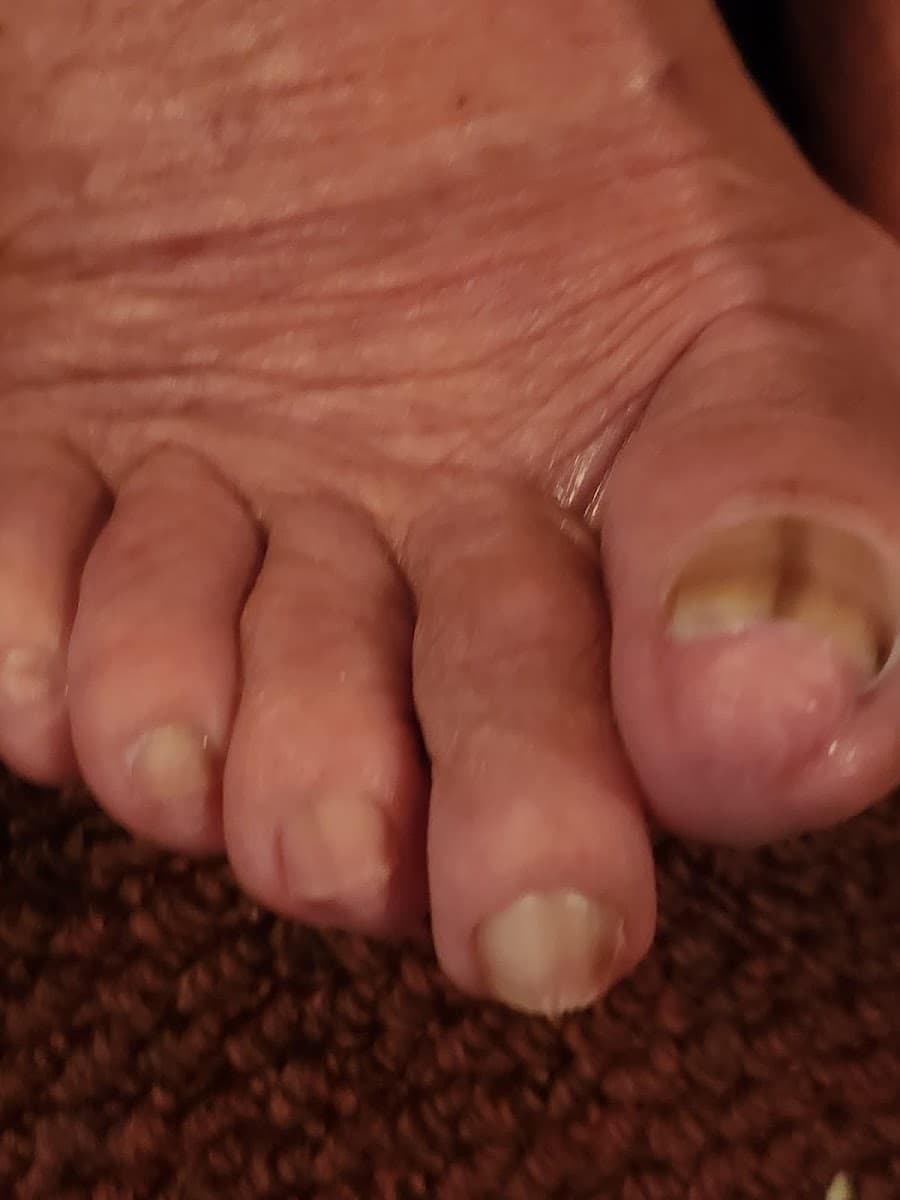 Treat Your Feet Medical & Mobile Foot Spa, LLC photo 1 of 8