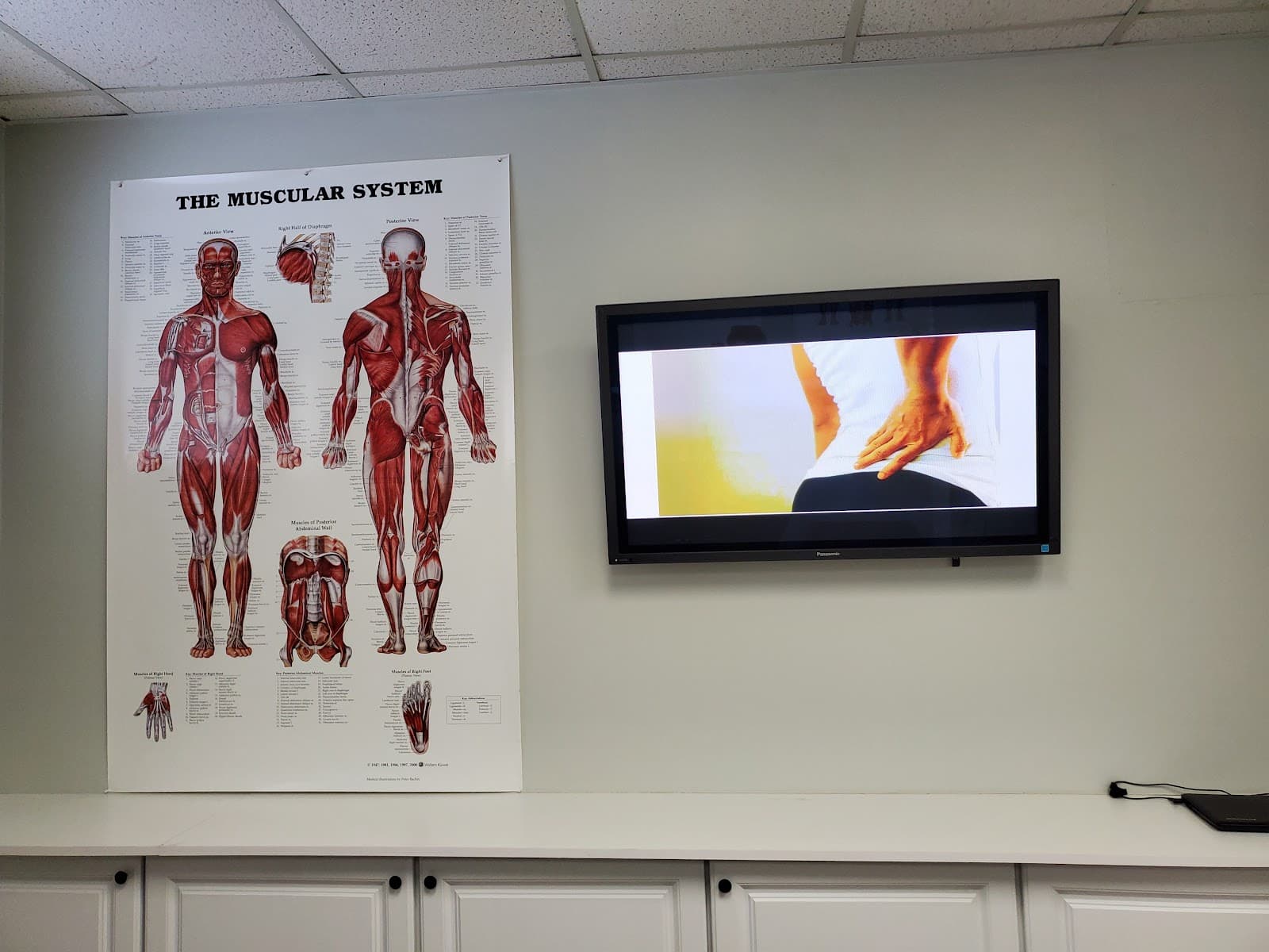 The Back WoRX - Medical Massage Bradenton