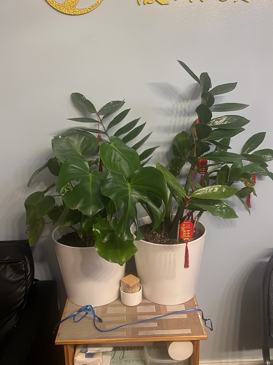 Yuki Beauty Spa photo 1 of 5