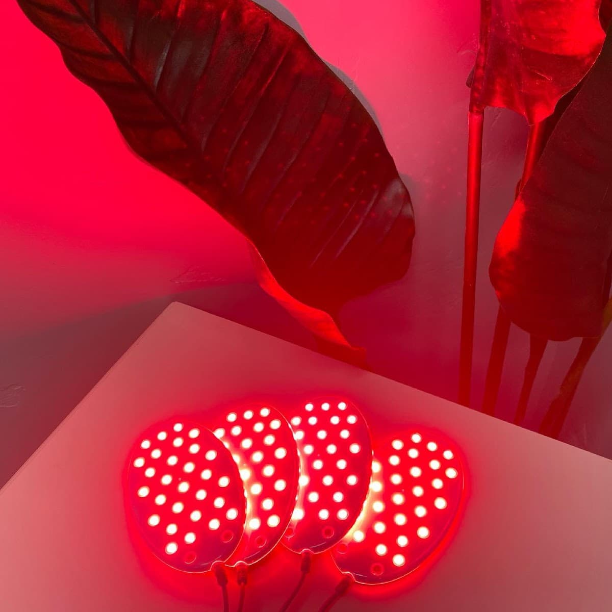 Sculpt Wellness