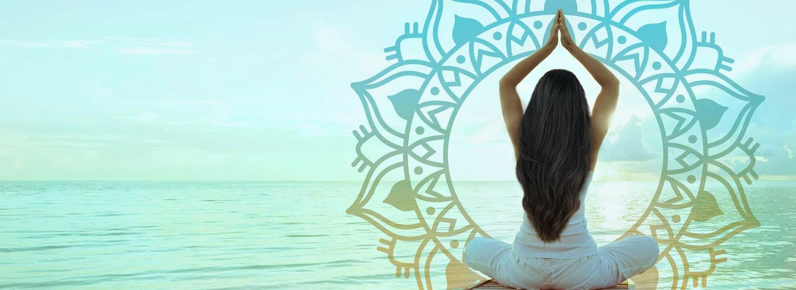 Synergistiq Wellness - Clearwater