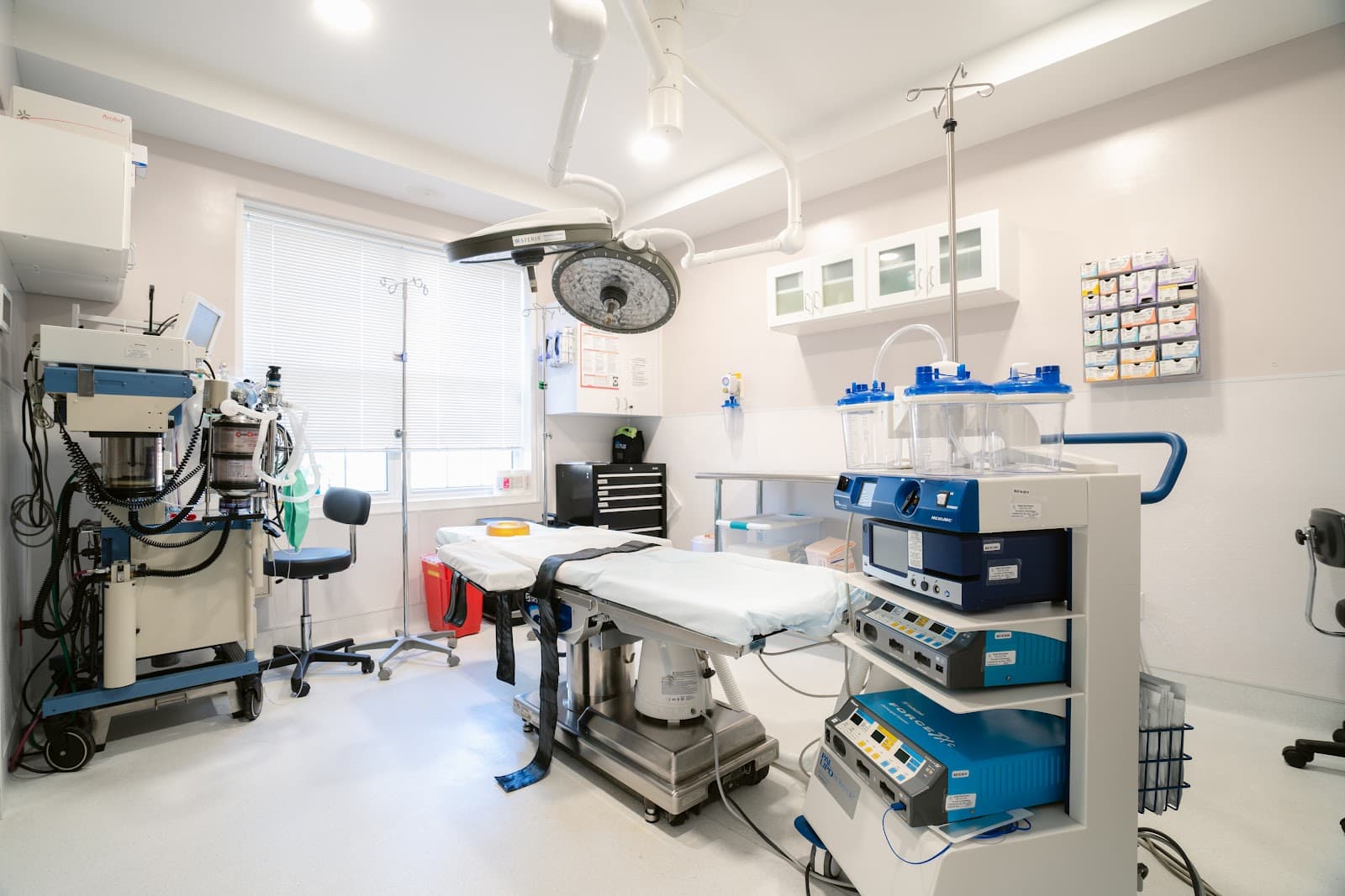 Pincus Plastic Surgery
