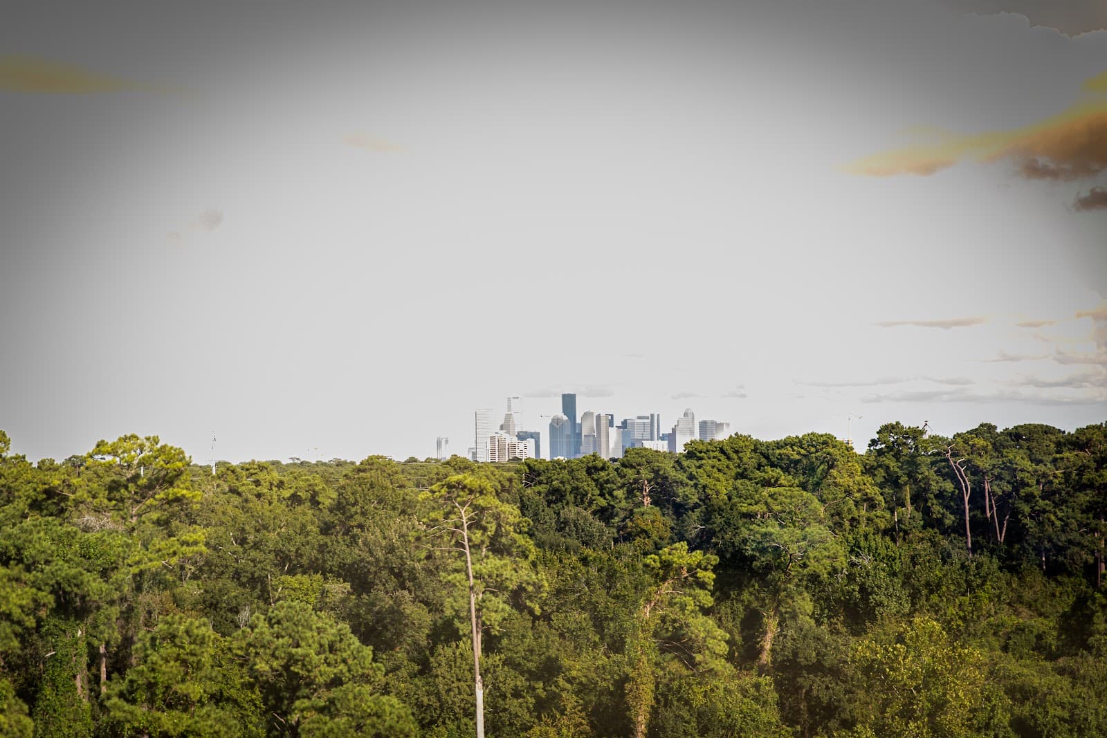 Houston Galleria Surgery and Medspa photo 1 of 7