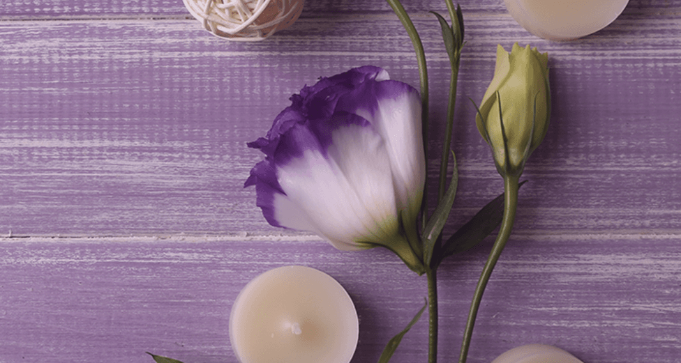 Bare Necessities Skin & Wax