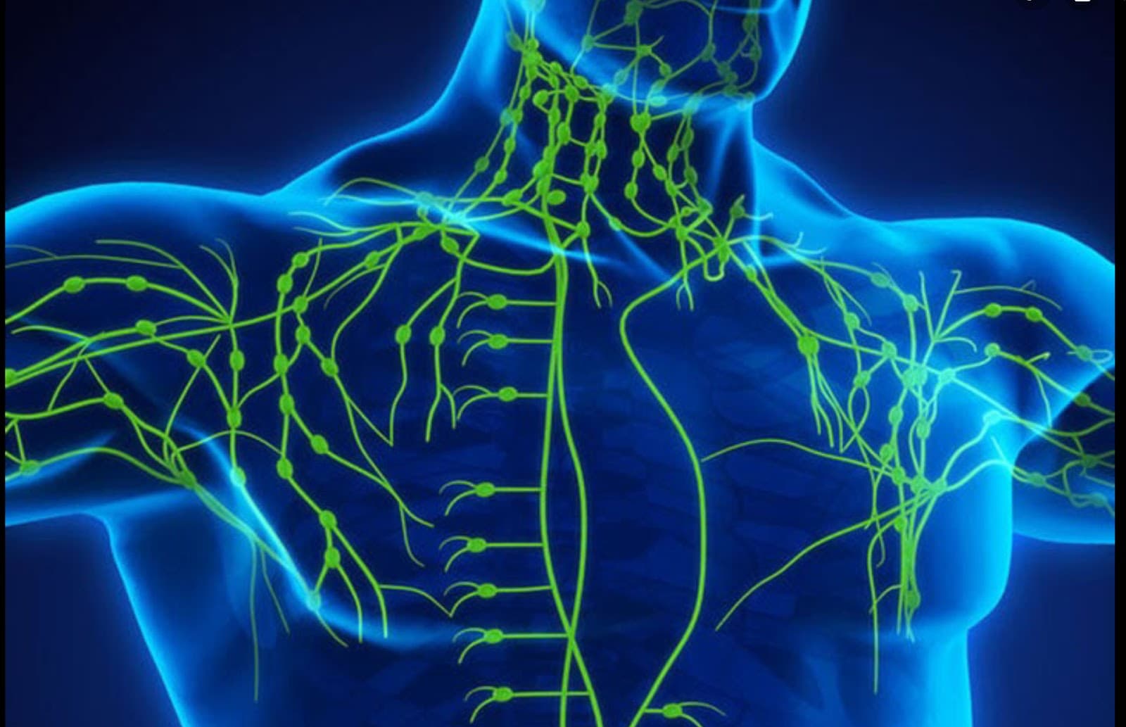 InterPathway Wellness