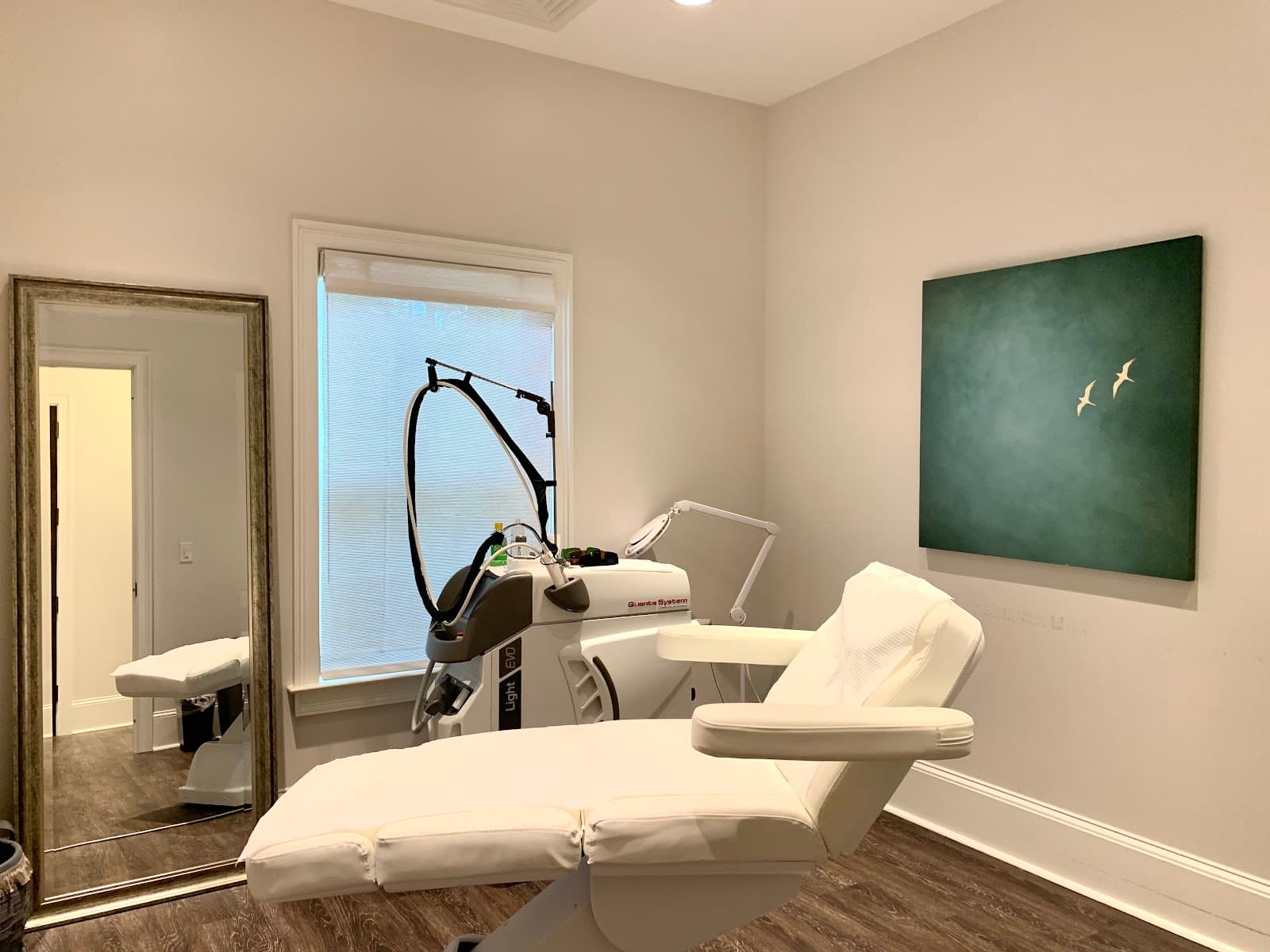 North Atlanta Plastic Surgery (NAPS) & The Spa at NAPS