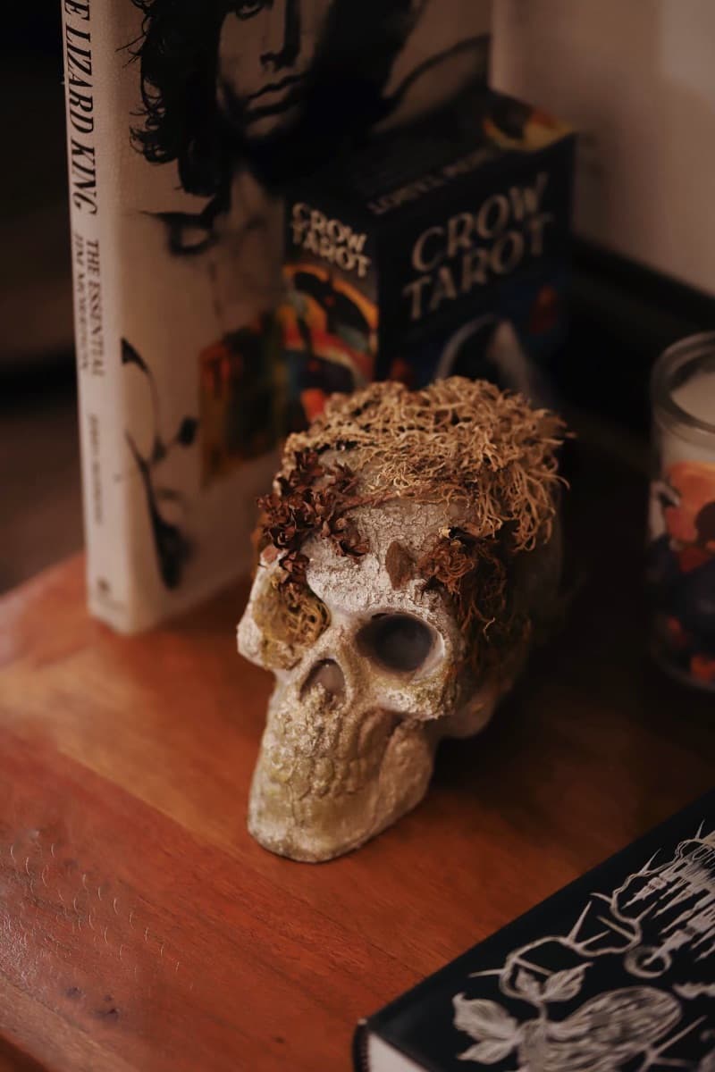 Moondog Head Spa & Haunt photo 1 of 5