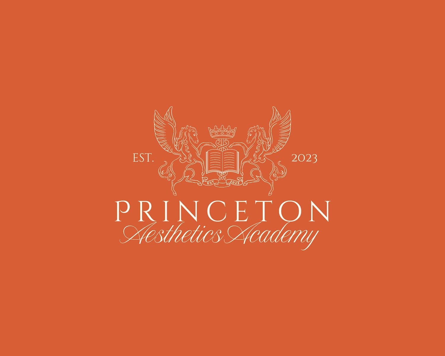 Princeton Aesthetics Academy