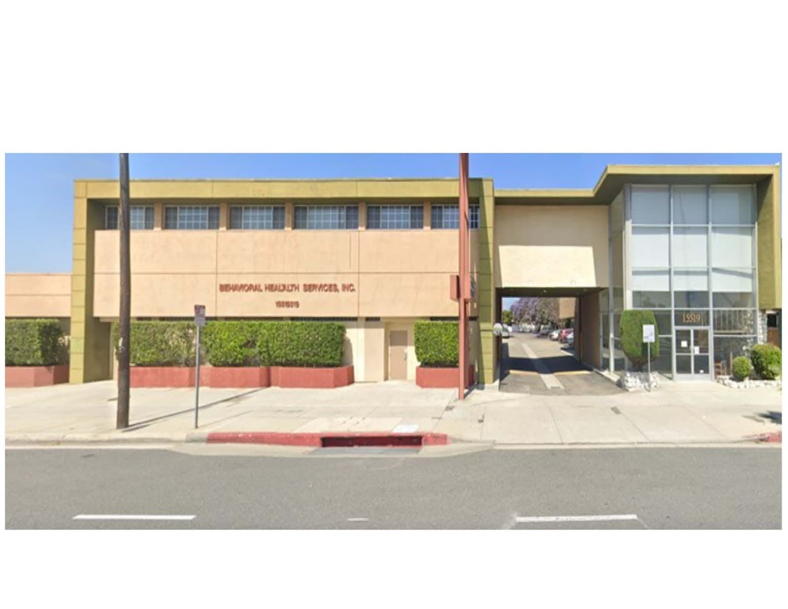 Behavioral Health Services Inc