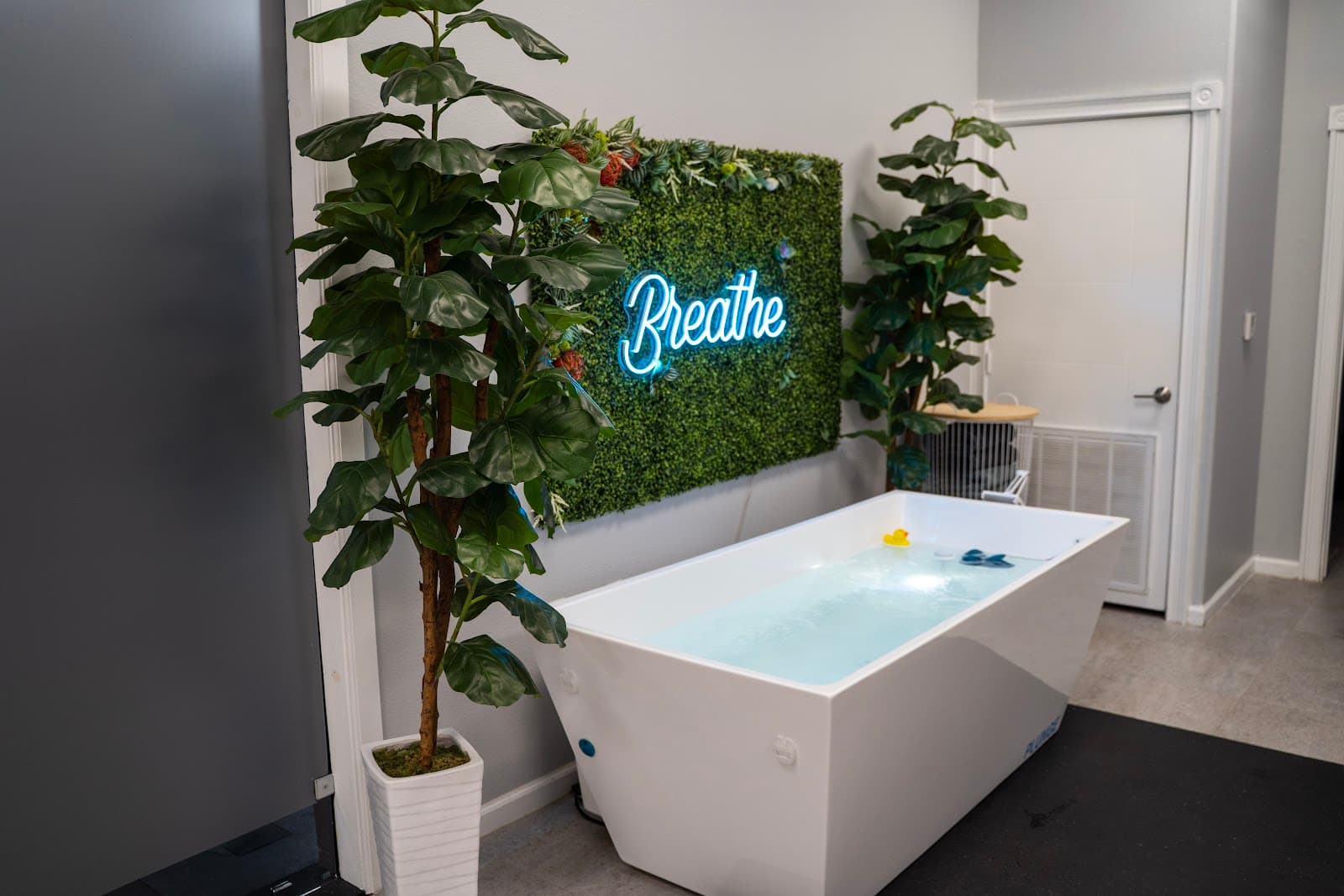 The Wellness Spot