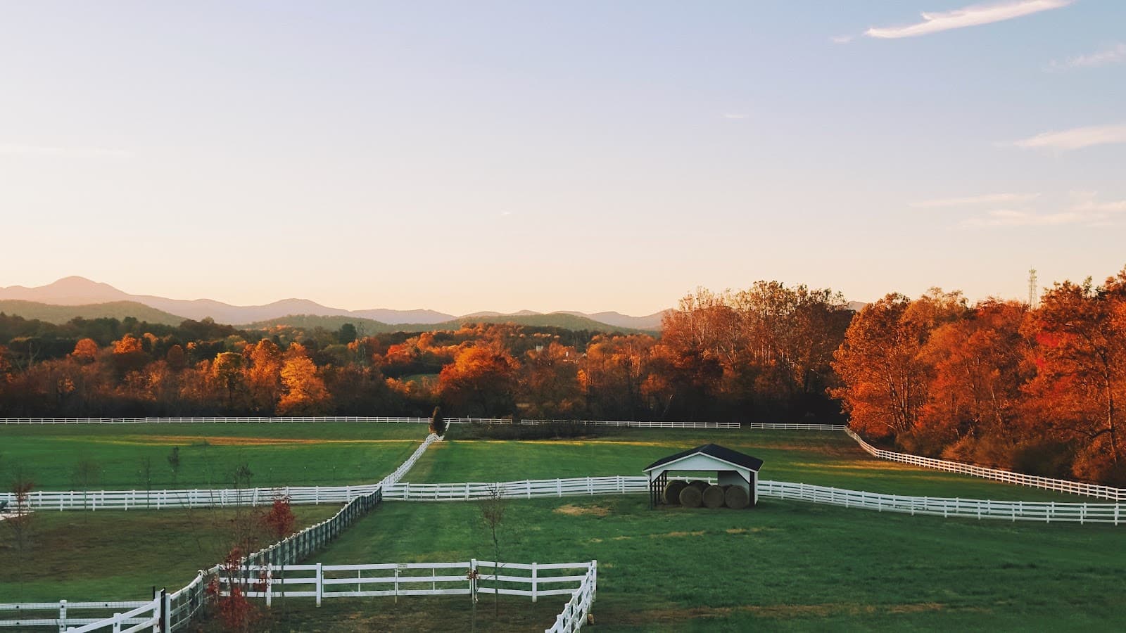 The Horse Shoe Farm