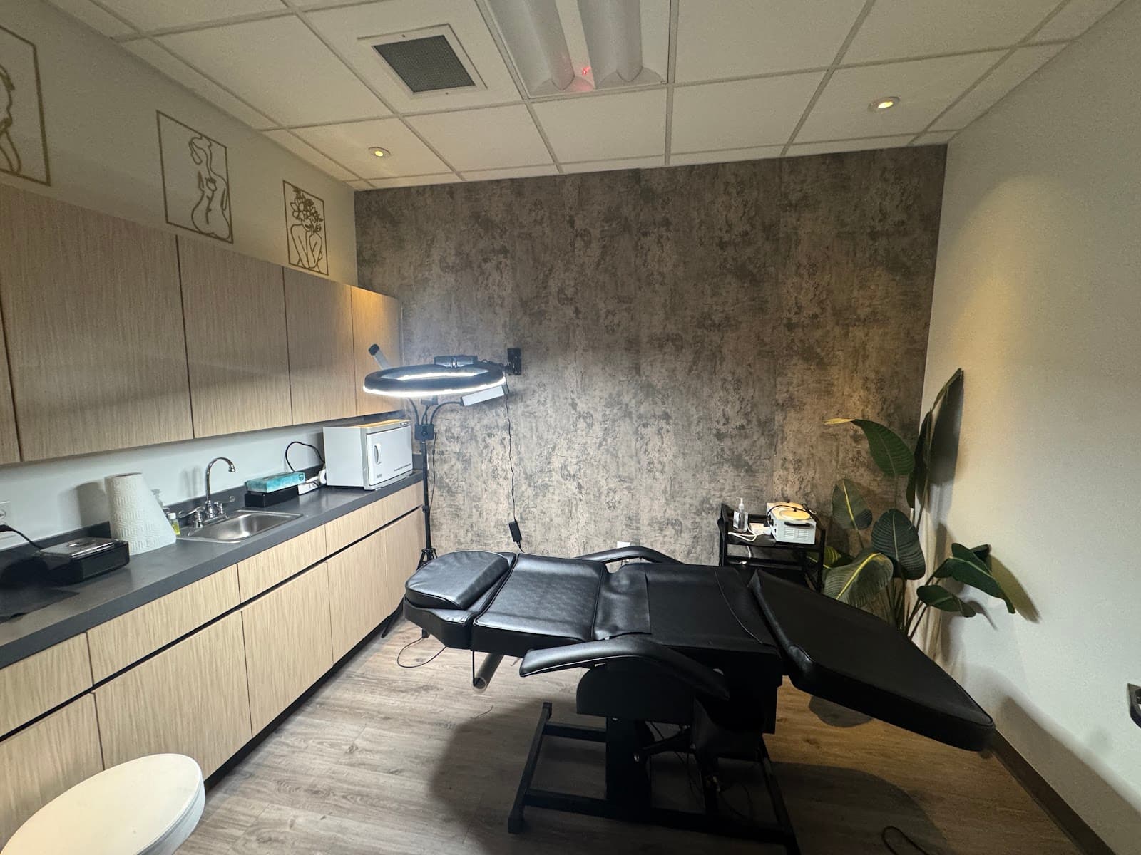 The Skin & Brow Bar