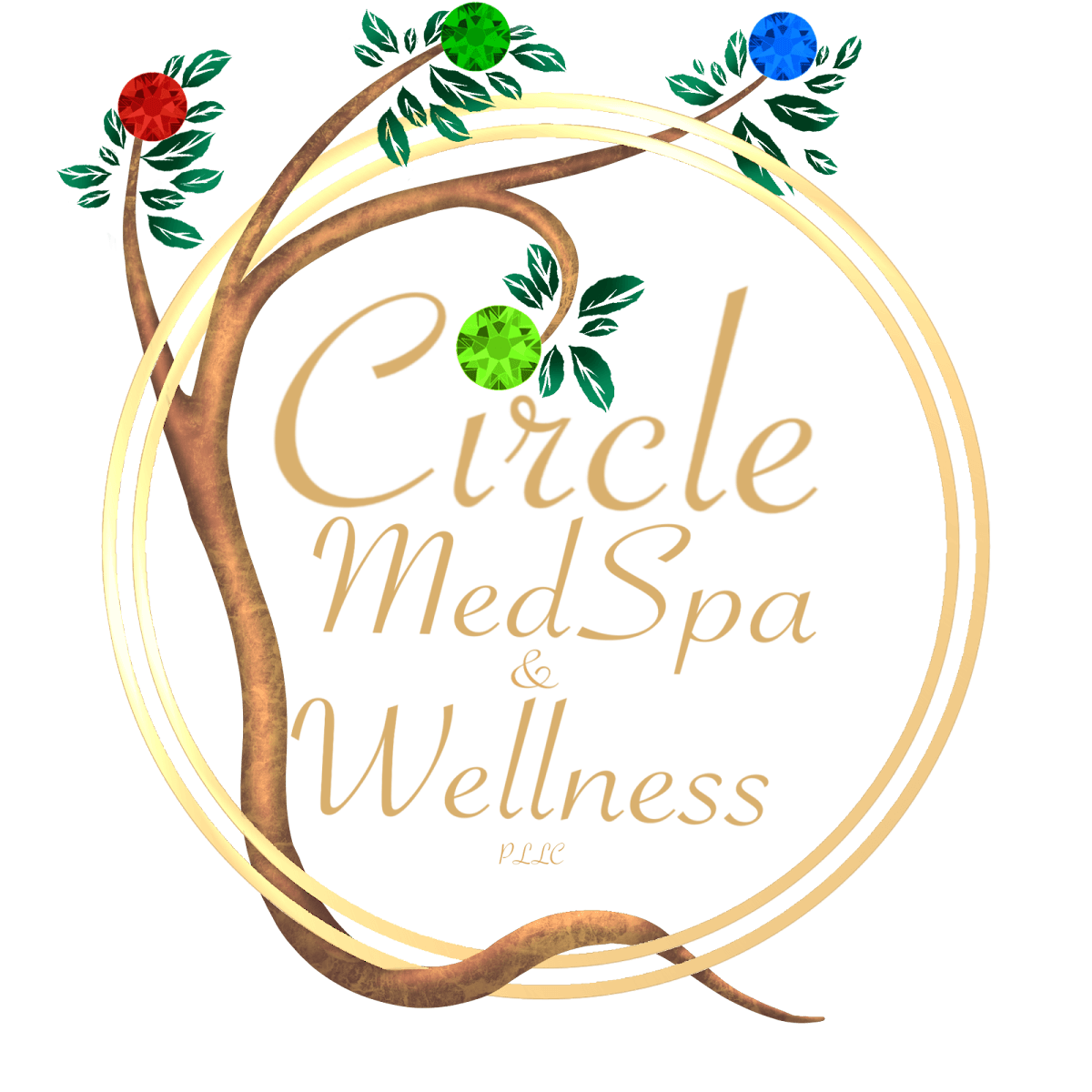 Circle MedSpa & Wellness, pllc