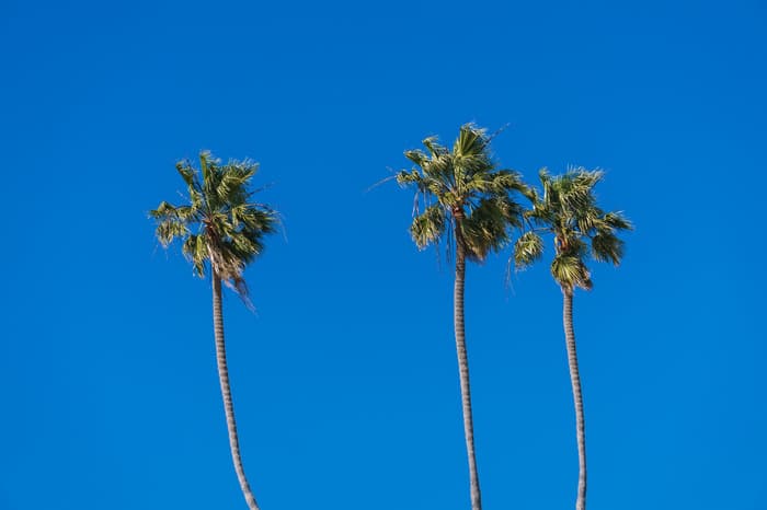 SoCal OncoPlastic Surgery photo 1 of 2