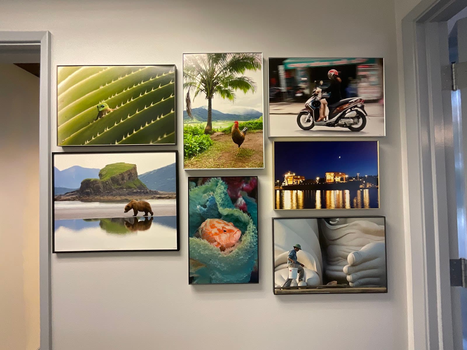 Elevated Image & Primary Care Clinic
