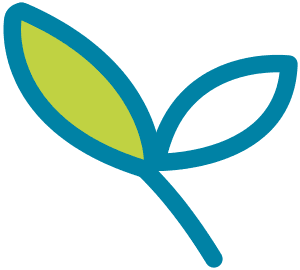 Haven Spa - Tallahassee Massage and Skincare