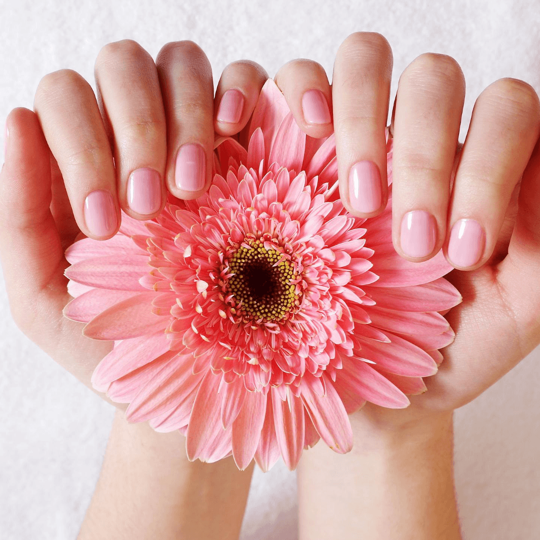 JT Nail Spa Cumberland