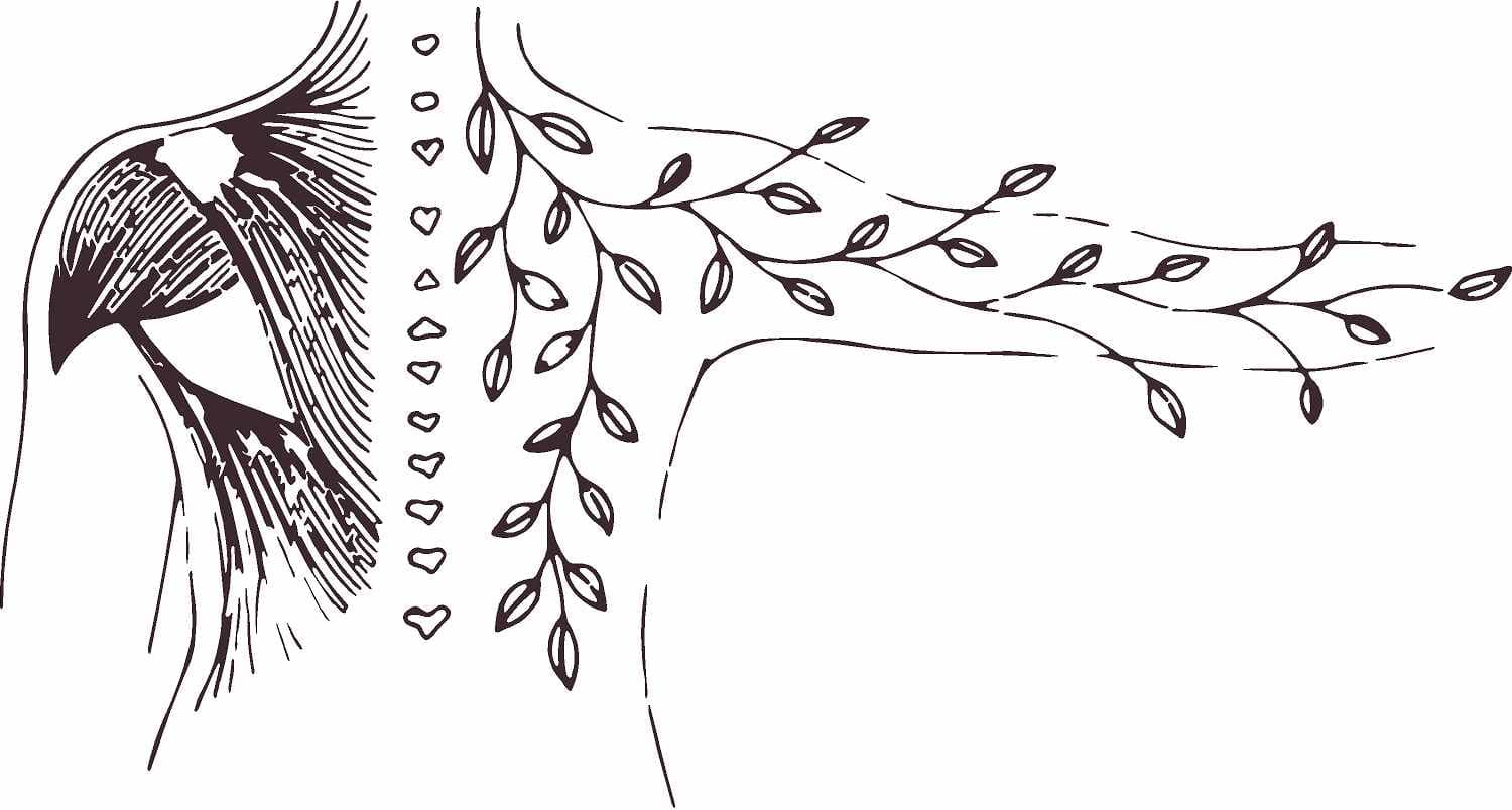 Sophia's Massage & Bodywork Therapy LLC