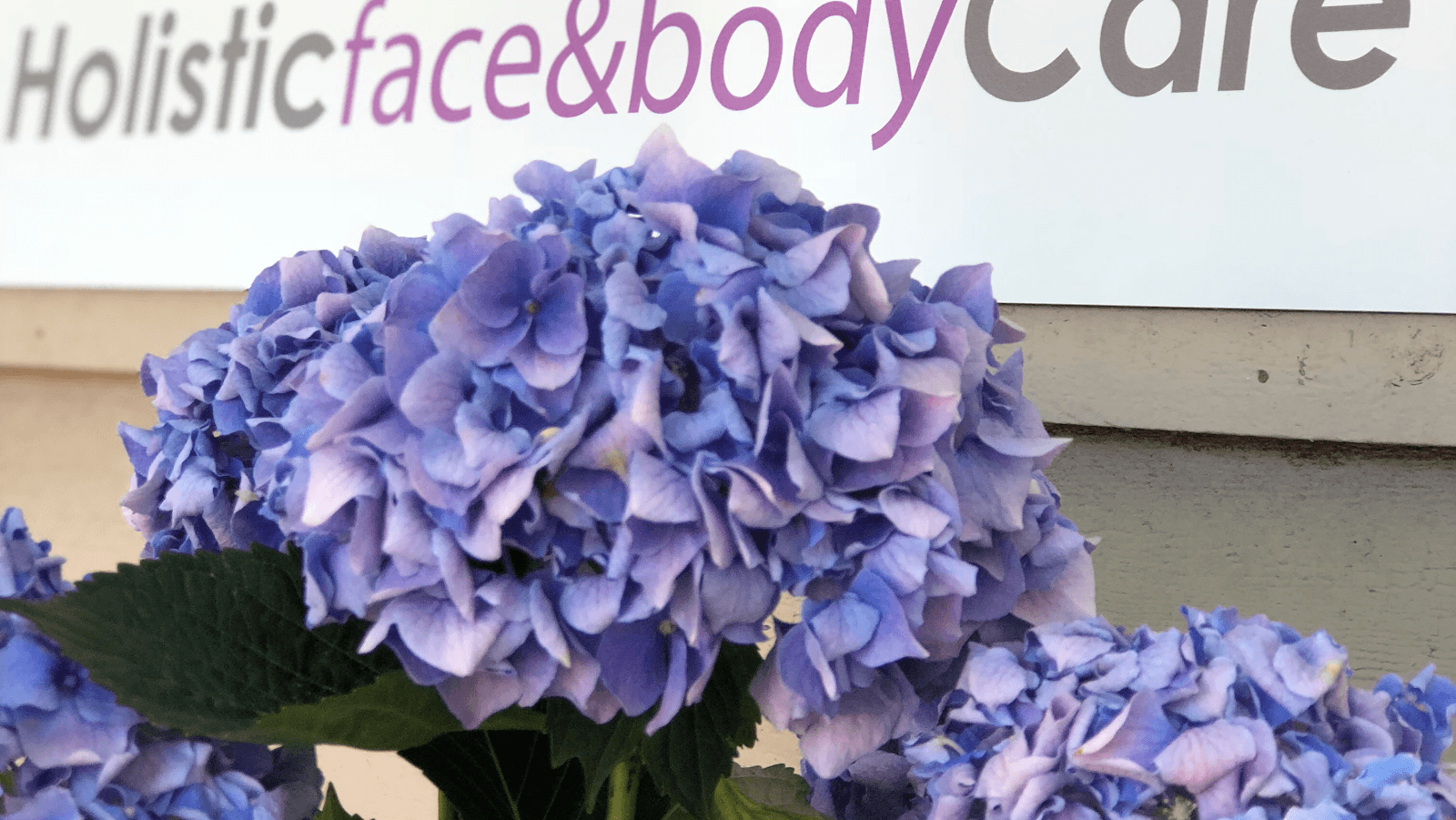 Holistic Face & Body Care photo 1 of 6
