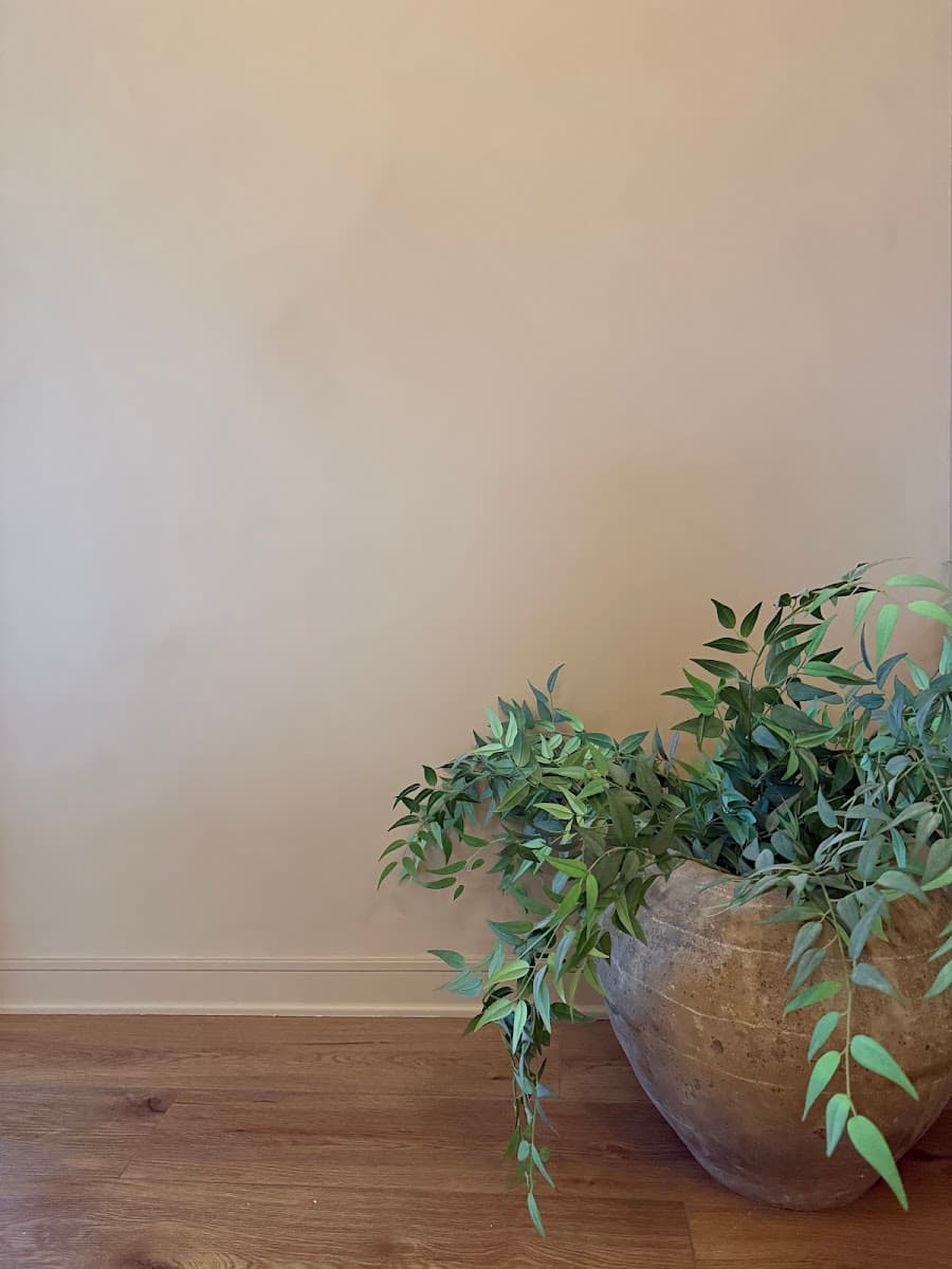 Radiance Wellness