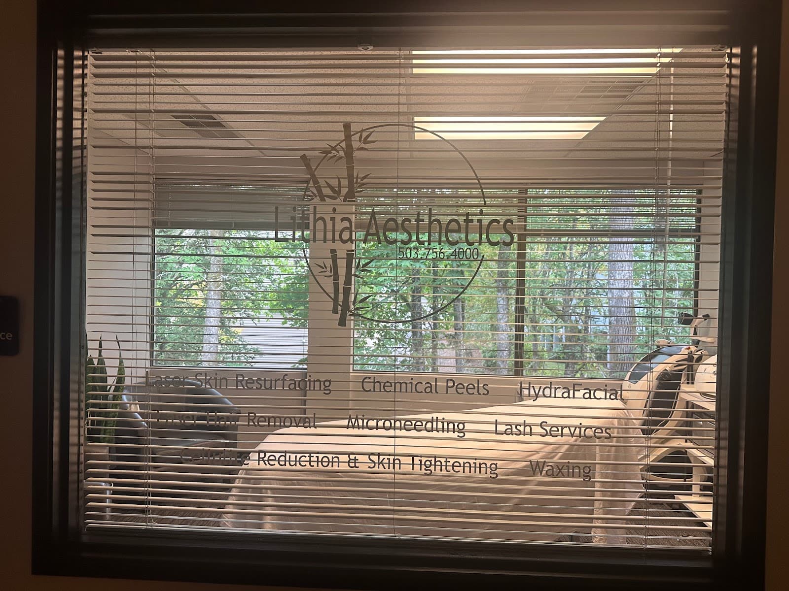 Lithia Aesthetics