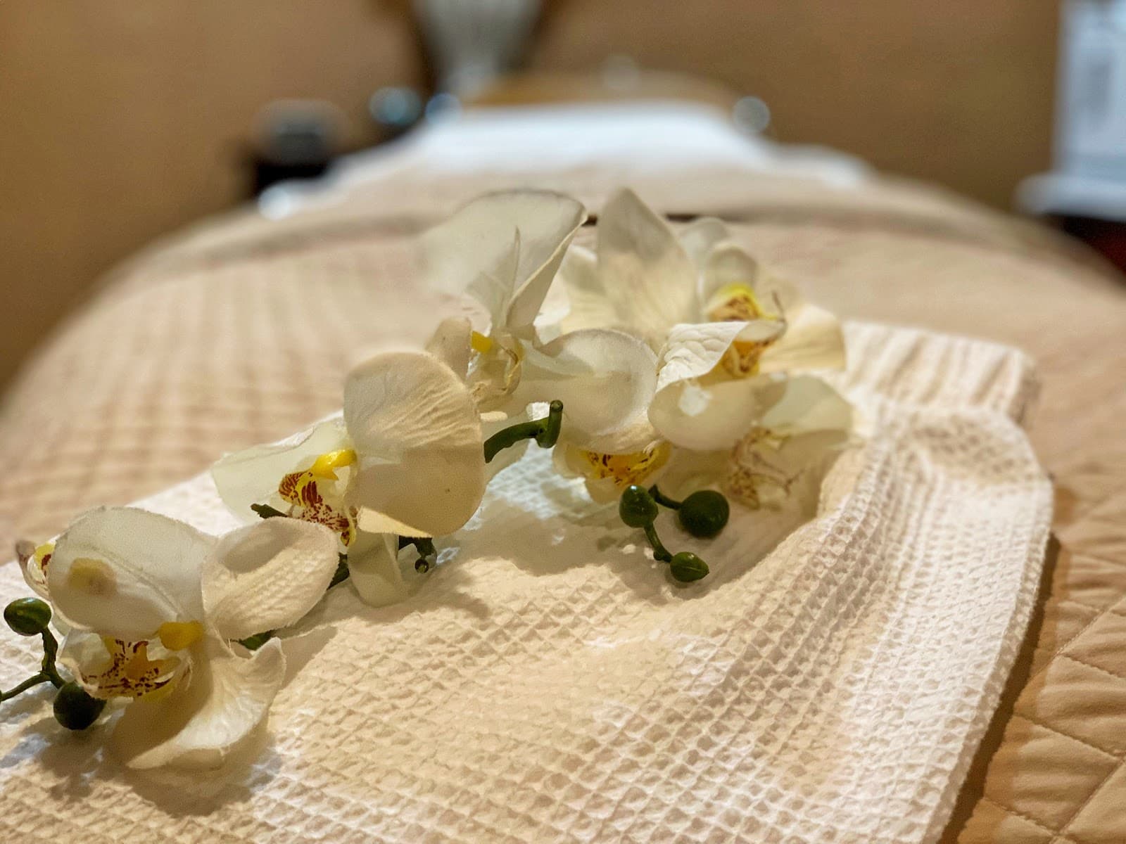 Timeless Glow Studio - Boutique Esthétique