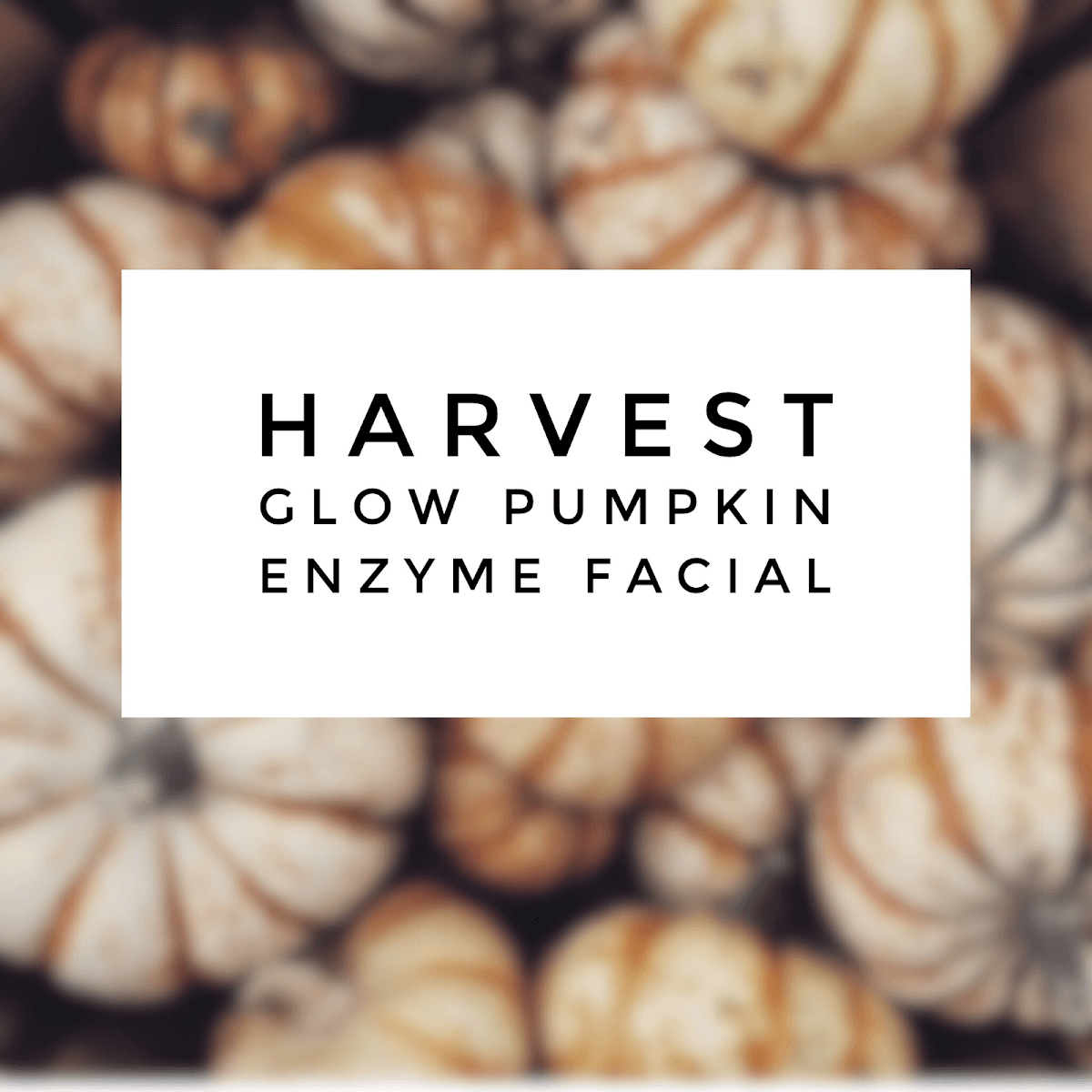Organic Glow Skin Studio - Indian Wells