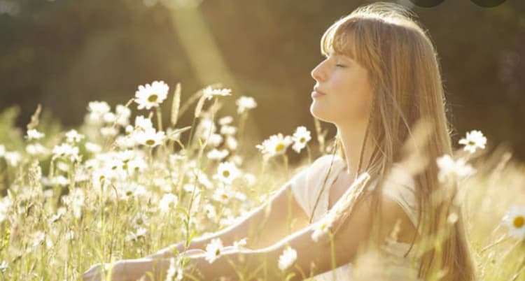 Bella Viva Massage Therapy Cape Cod