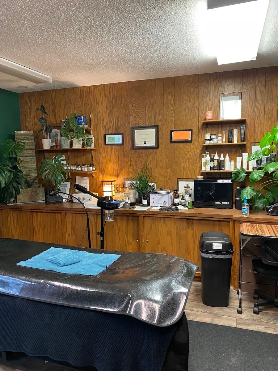 Monstera Esthetics