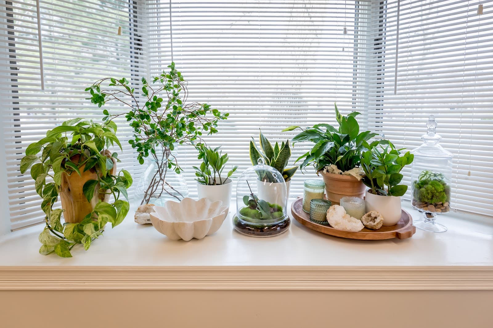 Estetica Medical Aesthetics